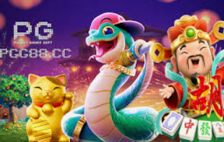 半岛星空足球app下载2024最新版